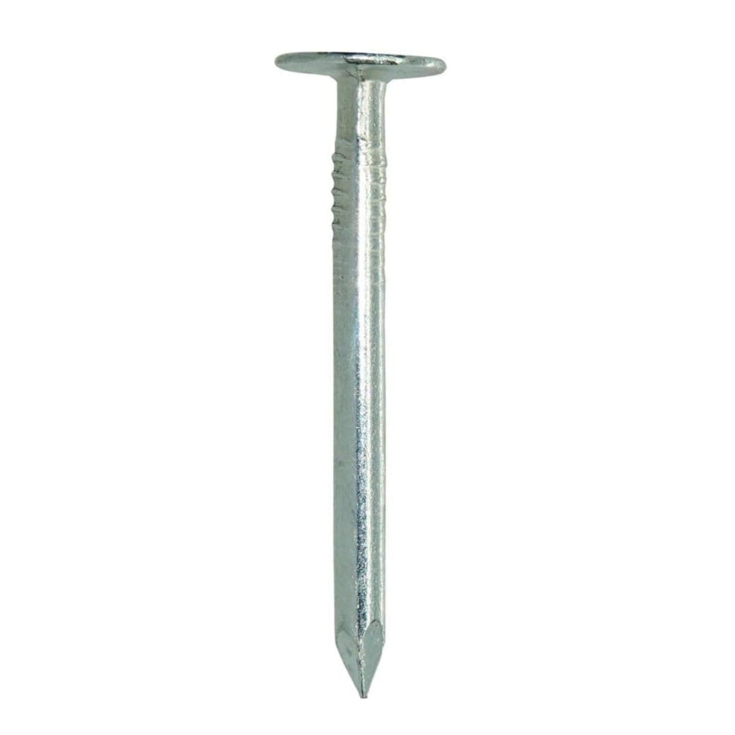 A Grip-Rite #11 x 1-1/2 in. electrogalvanized roofing nail with a flat round head and pointed tip is showcased on a white backdrop.
