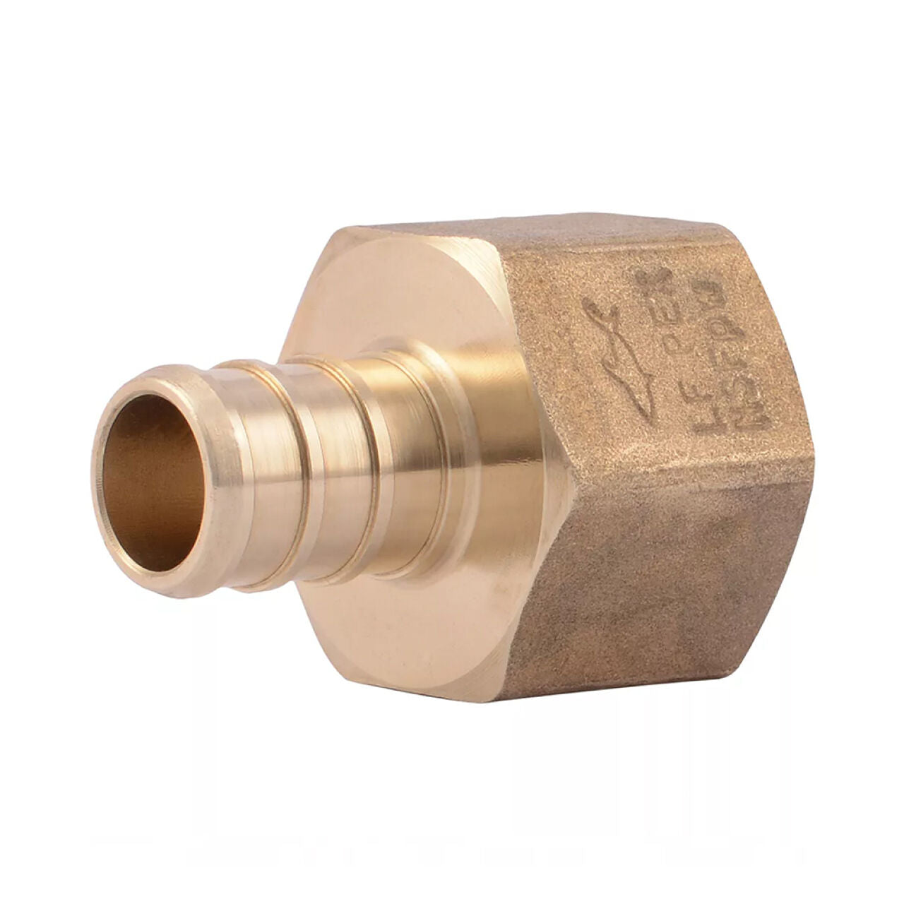 A Go Build 1 in. PEX x Female Adapter features a lead-free brass hose barb with hex nut and ridged end for connecting flexible tubing or PEX pipe, shown on a white background. Brand: The Fastest Way To Build.