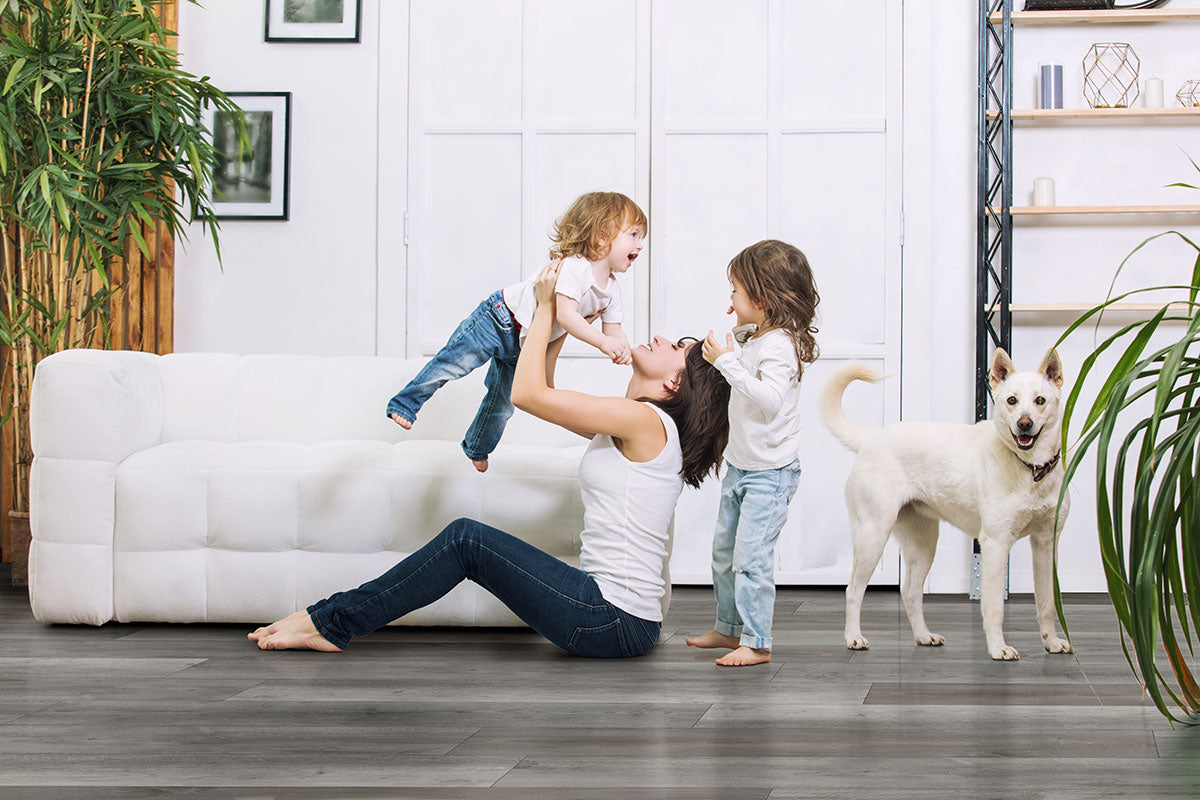 A woman lifts a child in the air near another child and a white dog on MSI XL Cyrus Katella Ash Luxury Vinyl Planks in a bright, modern living room with a white couch and green plants.